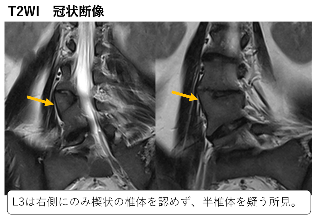 整形外科